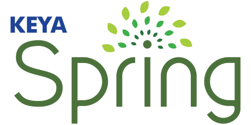 key_spring_logo